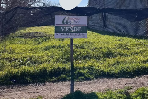 lote2